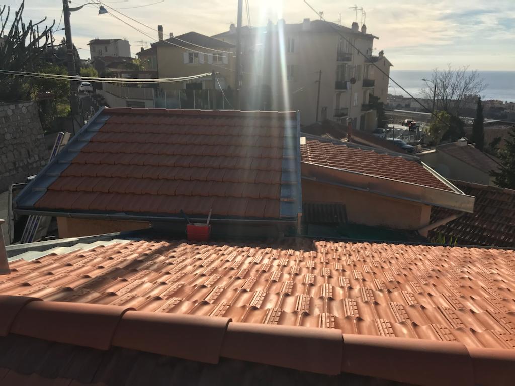 Service de démoussage